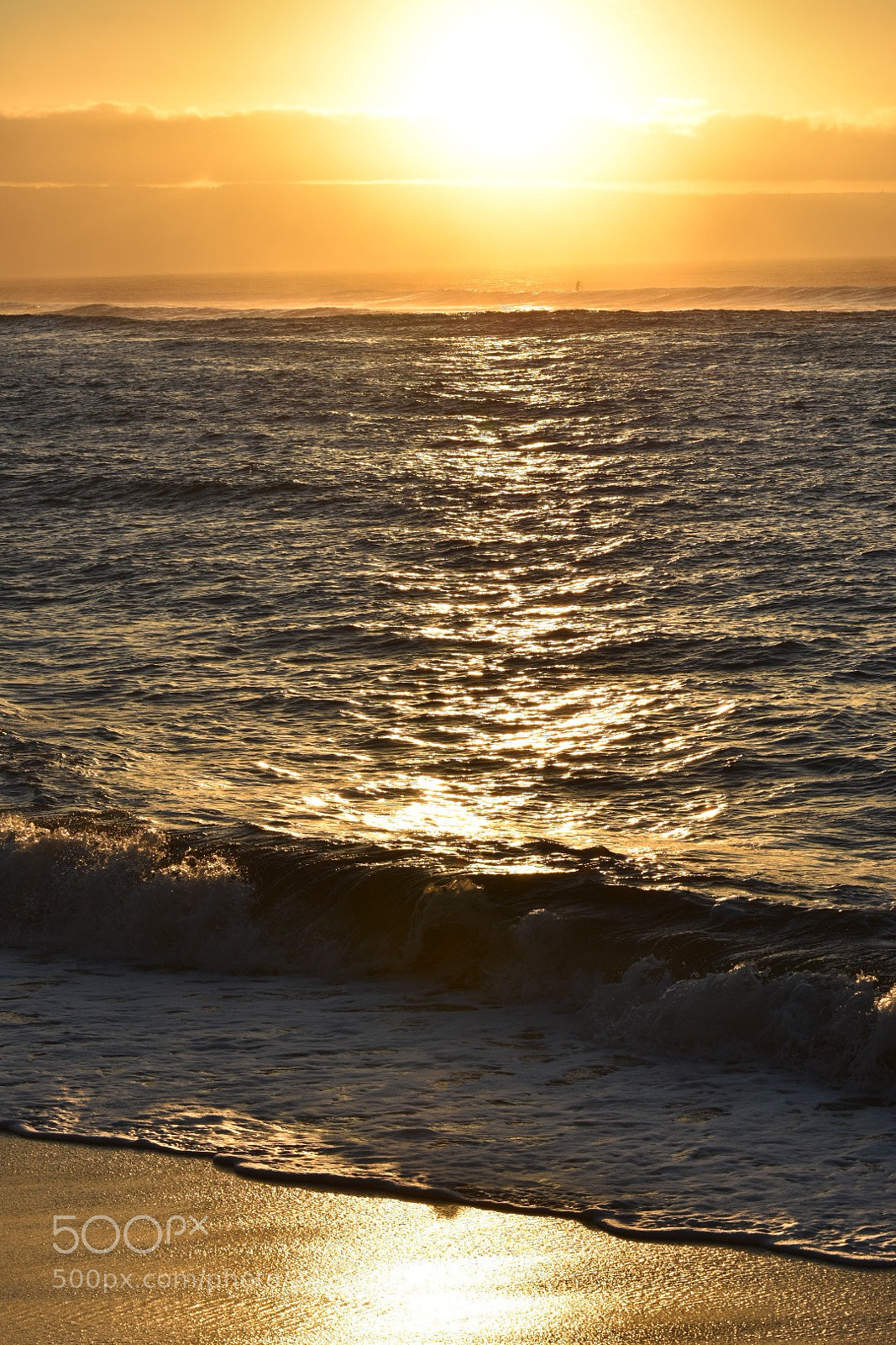 Nikon D7200 sample photo. Golden sunset photography