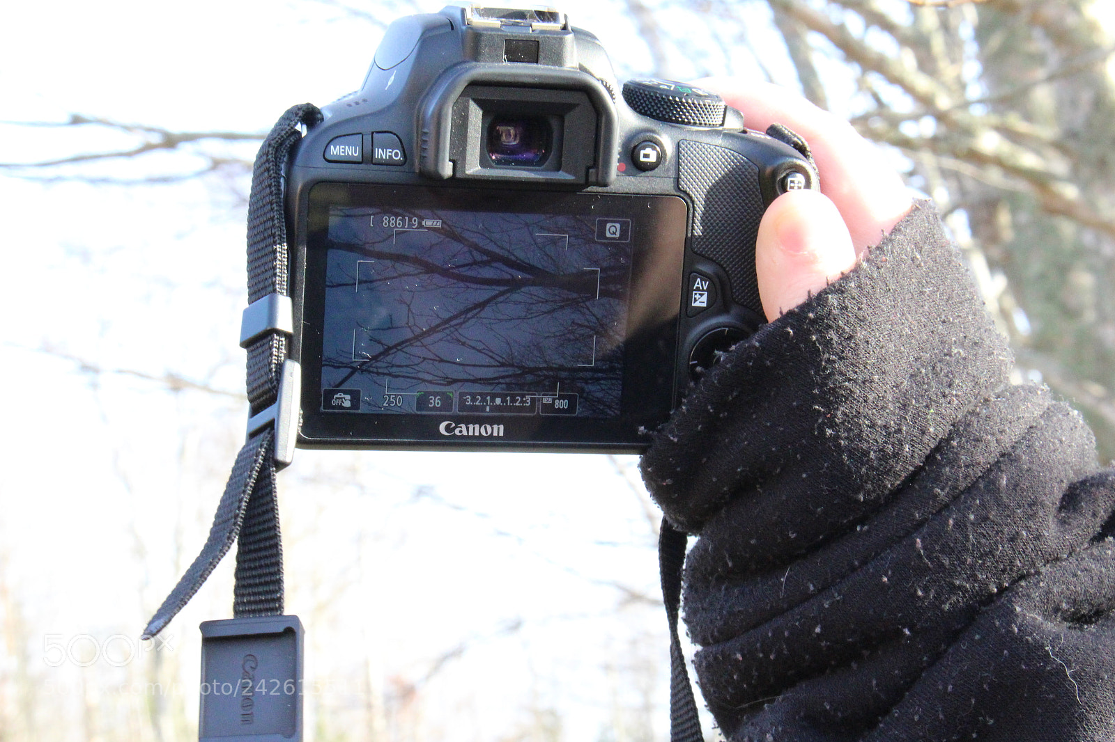 Canon EOS 700D (EOS Rebel T5i / EOS Kiss X7i) sample photo. Captured photography