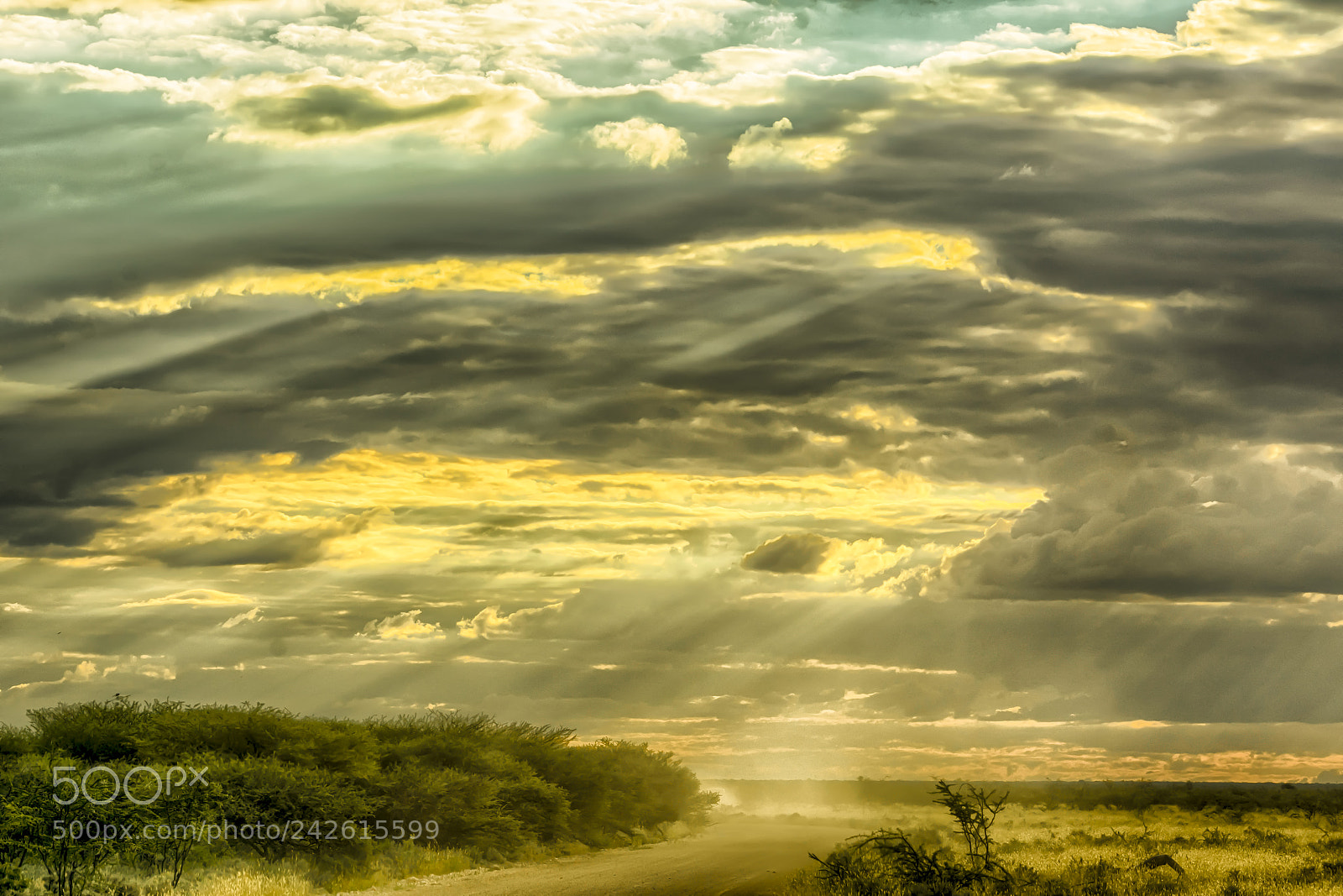 Nikon D7100 sample photo. Namibia photography