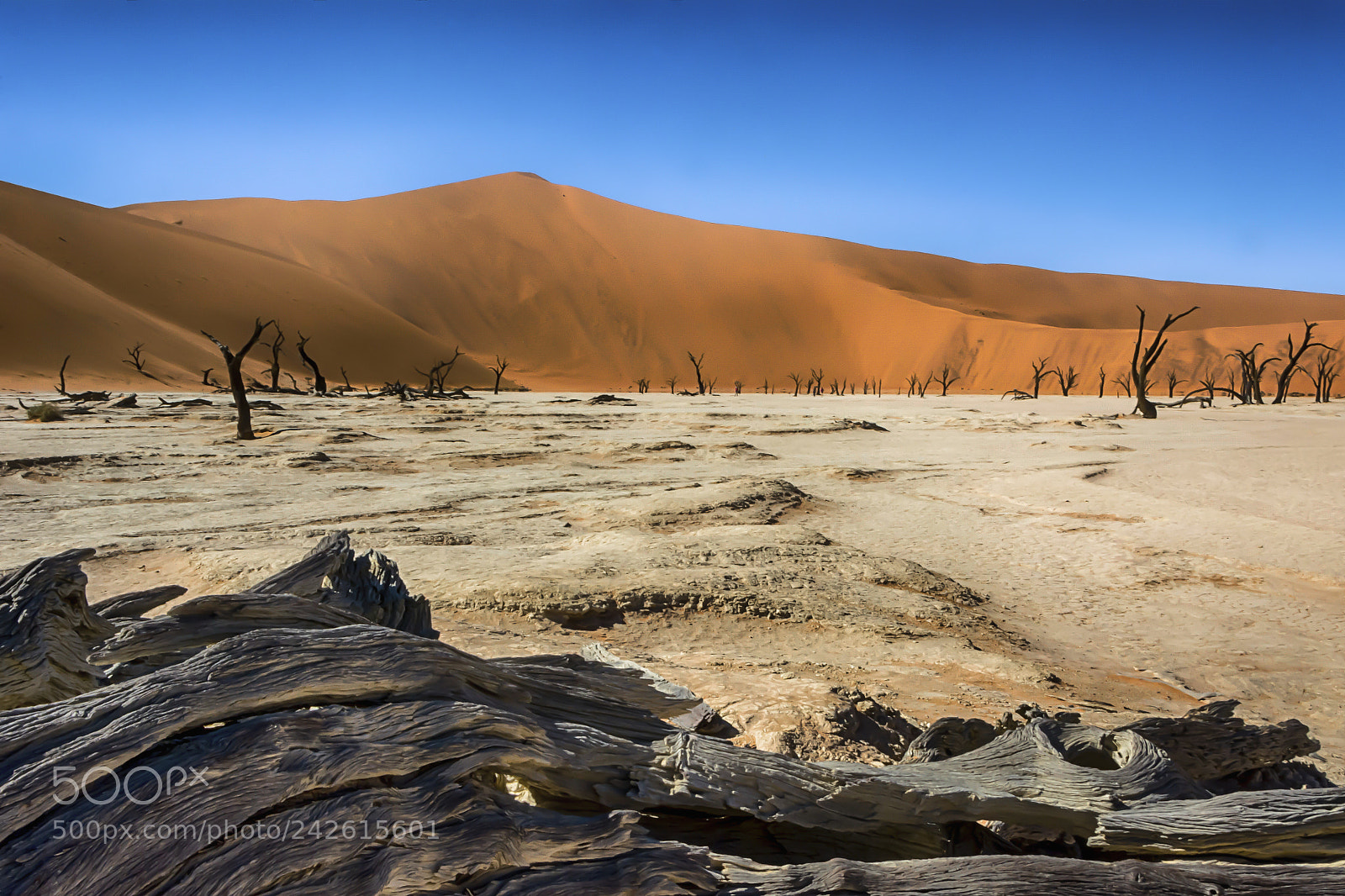 Nikon D7100 sample photo. Namibia photography