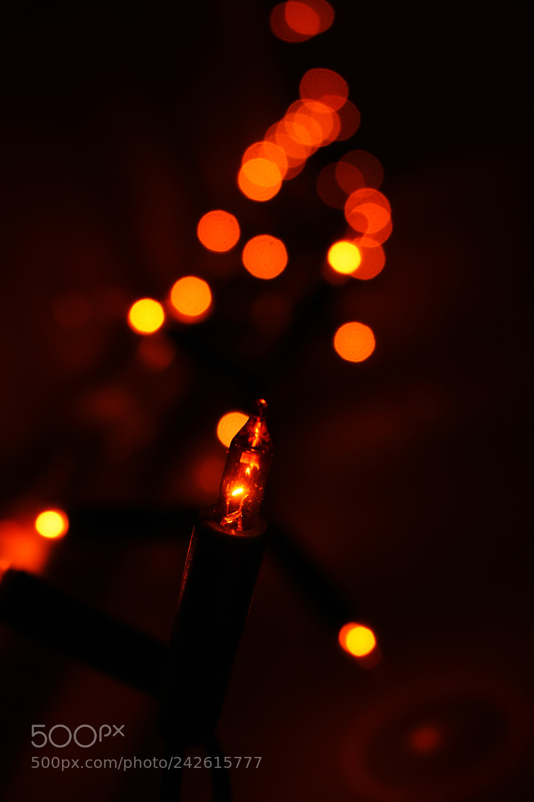 Nikon D3400 sample photo. Lights photography