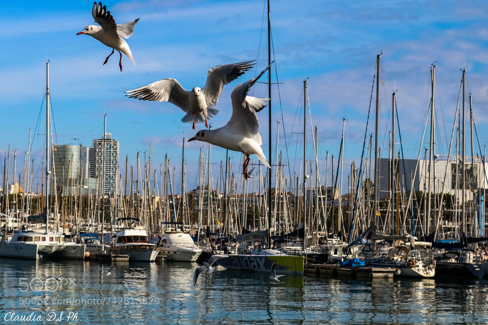 Canon EOS 750D (EOS Rebel T6i / EOS Kiss X8i) sample photo. Nature of barcelona. photography