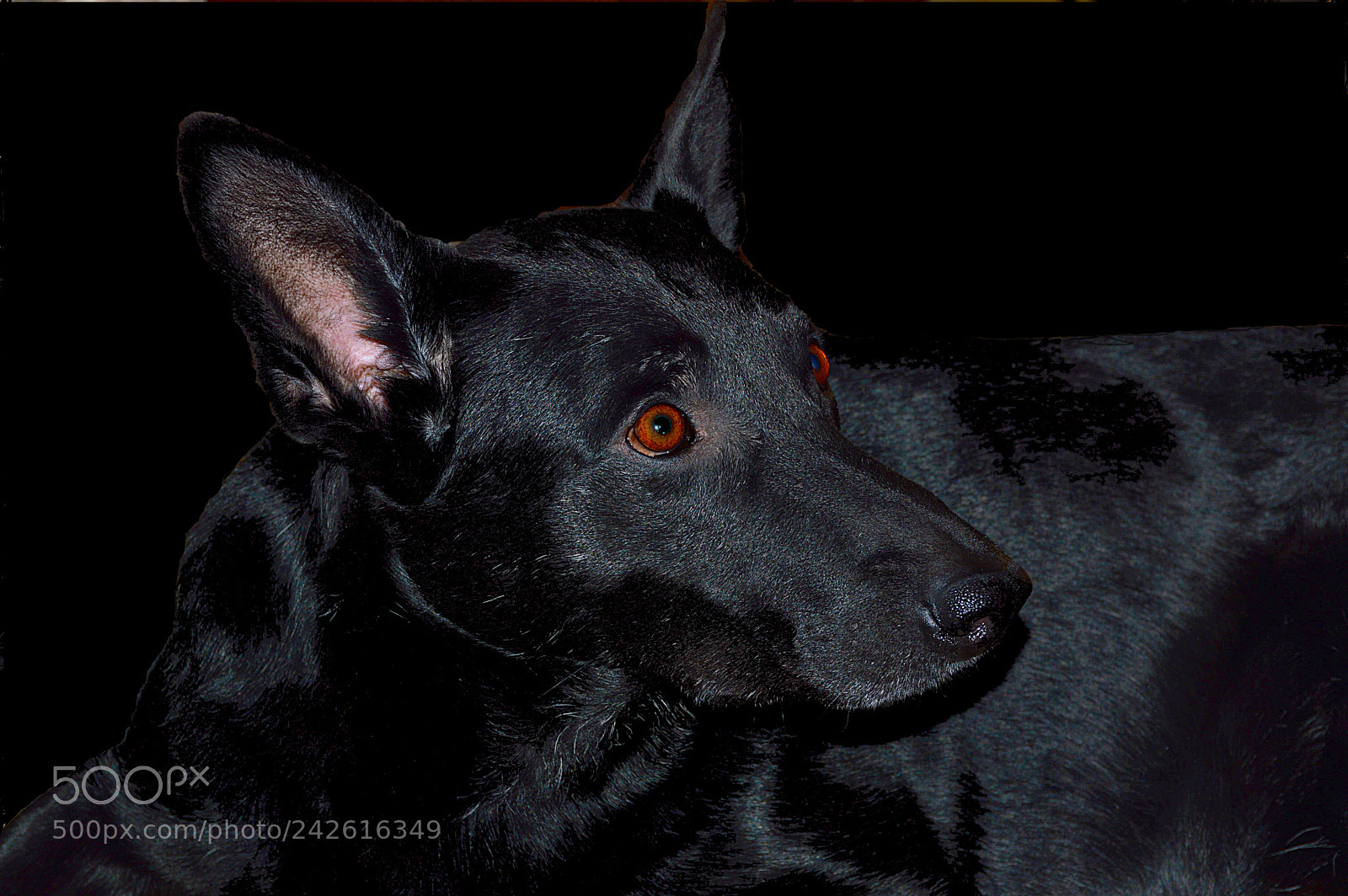 Nikon D3200 sample photo. Рахат photography