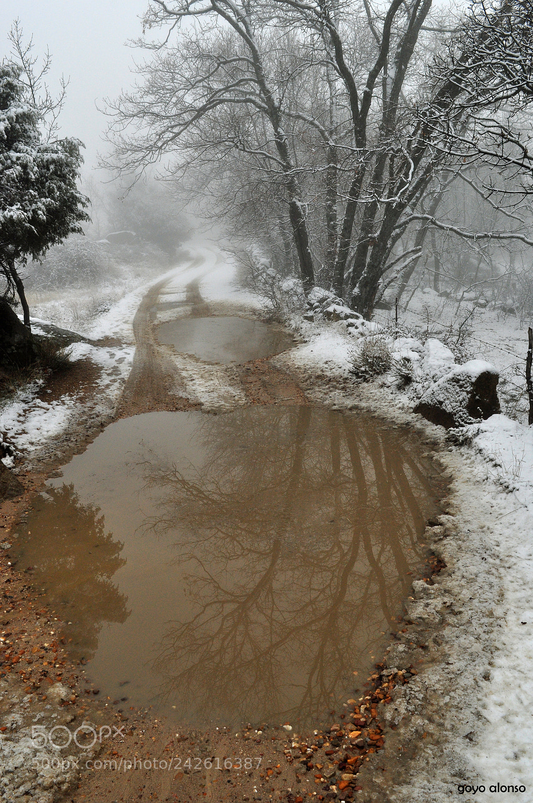 Nikon D5000 sample photo. Pura nieve photography