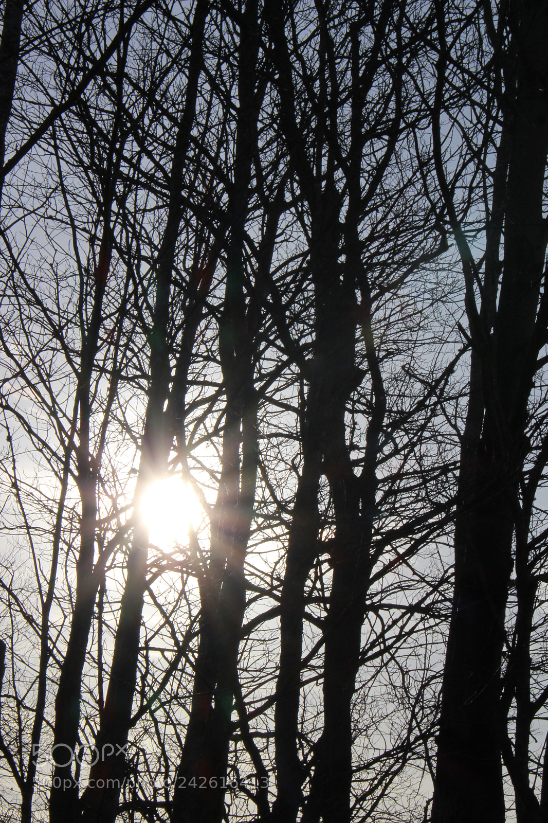 Canon EOS 700D (EOS Rebel T5i / EOS Kiss X7i) sample photo. Light me up photography