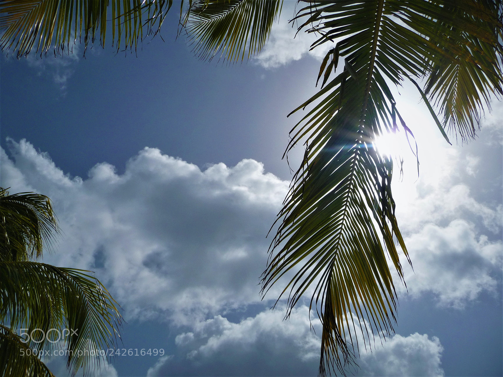 Panasonic Lumix DMC-TZ5 sample photo. Aruban sky photography