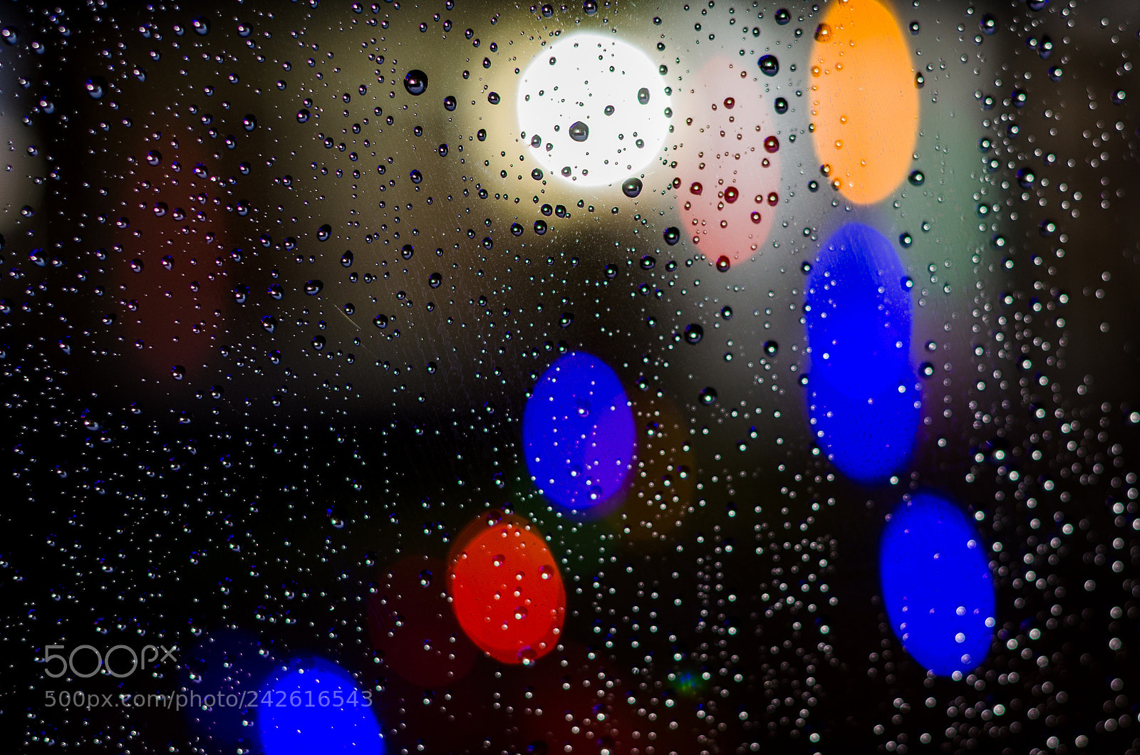 Nikon D5100 sample photo. Sometimes it rains in photography