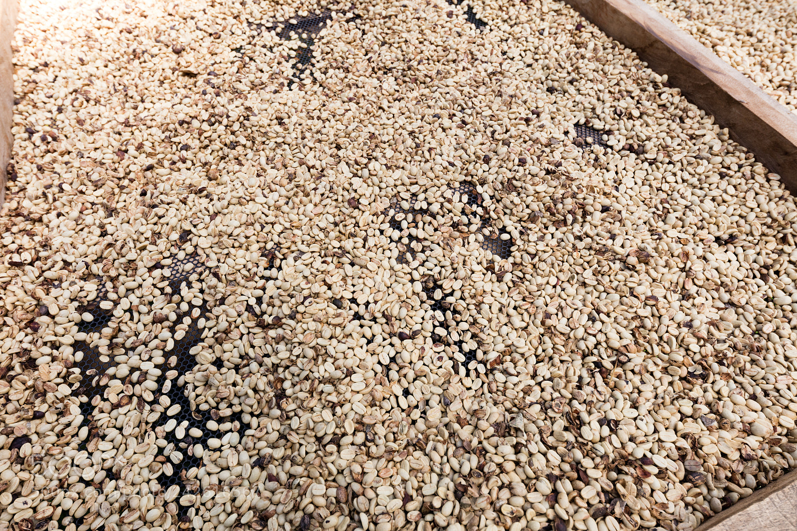 Canon EOS 5DS R sample photo. Coffee beans left rto photography