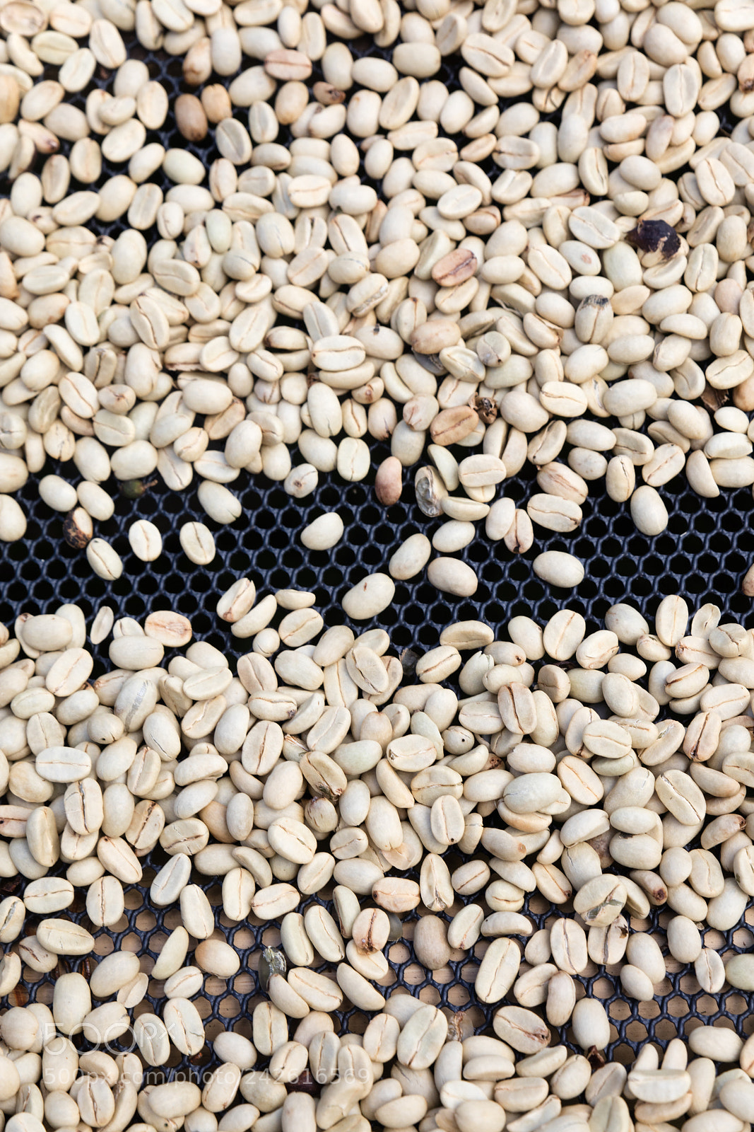 Canon EOS 5DS R sample photo. Coffee beans left rto photography