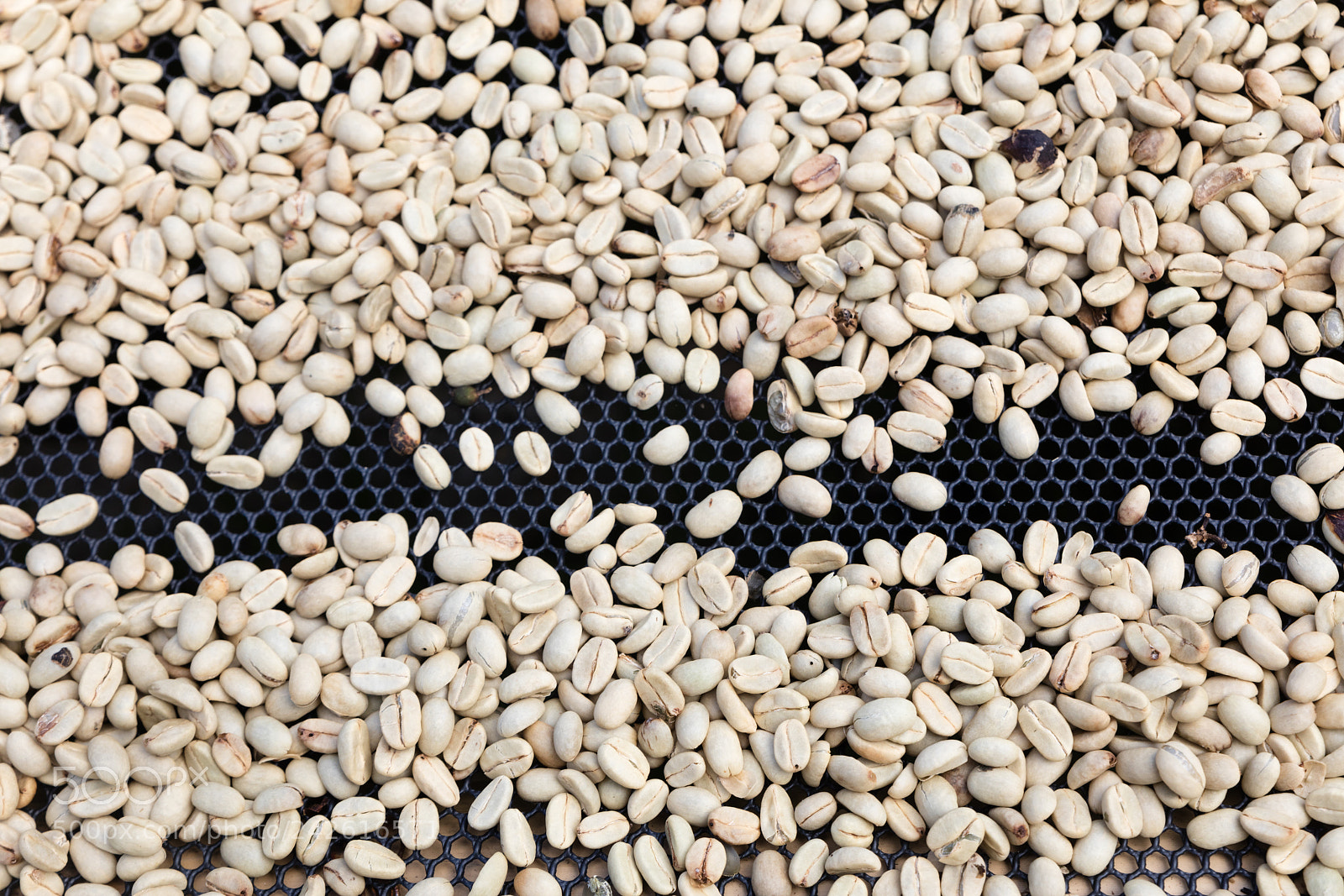 Canon EOS 5DS R sample photo. Coffee beans left rto photography