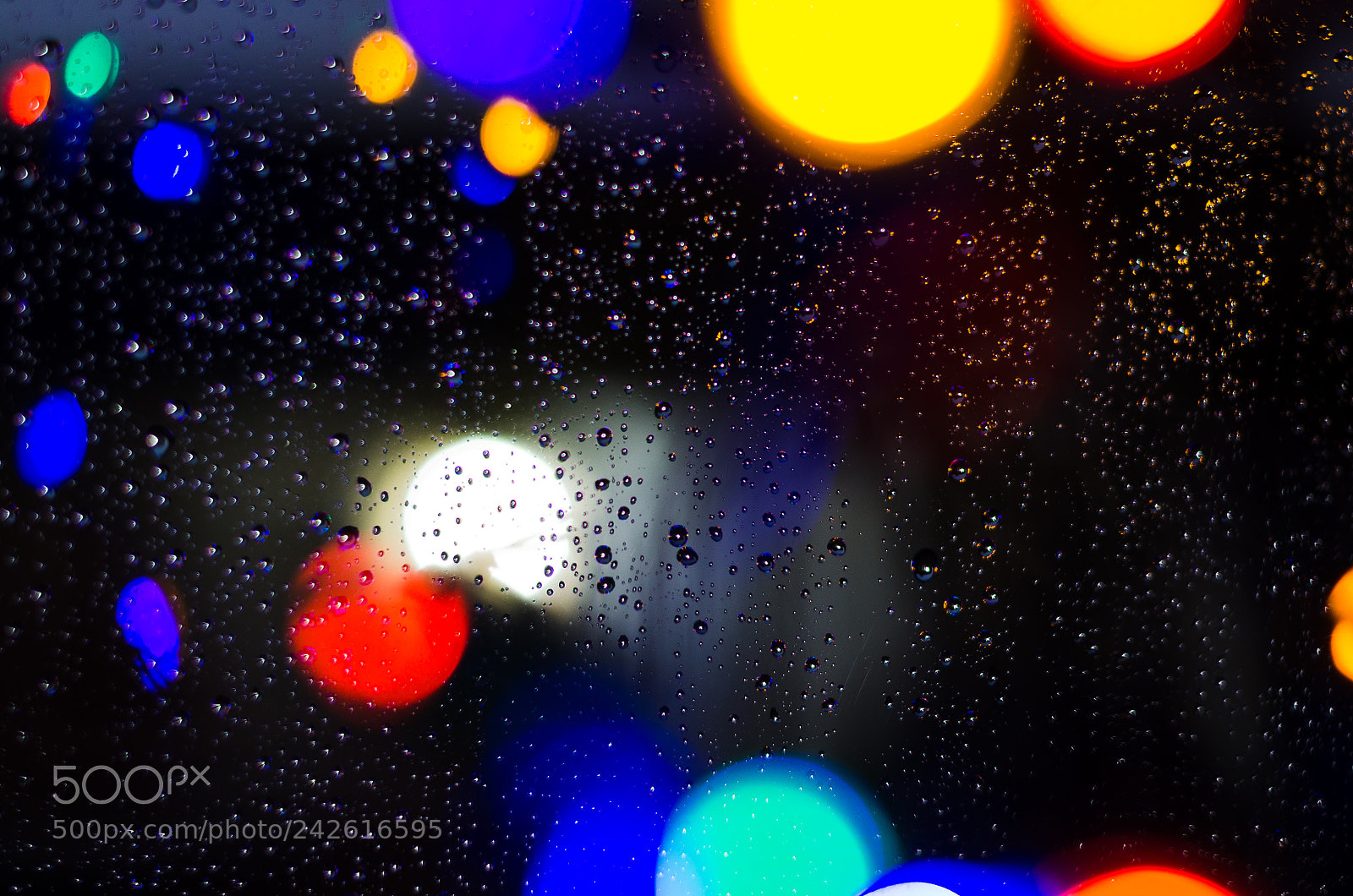 Nikon D5100 sample photo. Reflections in the rain photography
