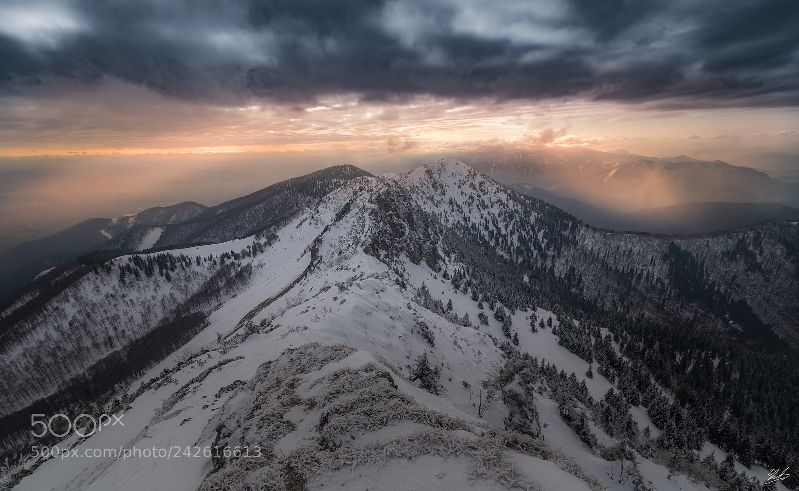 Nikon D610 sample photo. Suchy mt. mala fatra photography