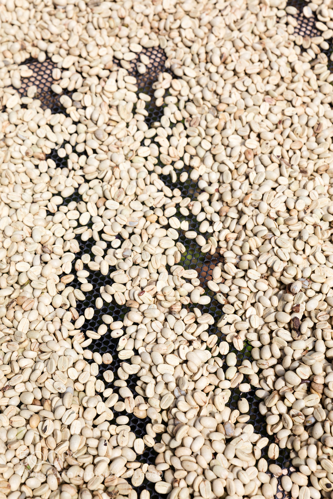 Canon EOS 5DS R sample photo. Coffee beans left rto photography