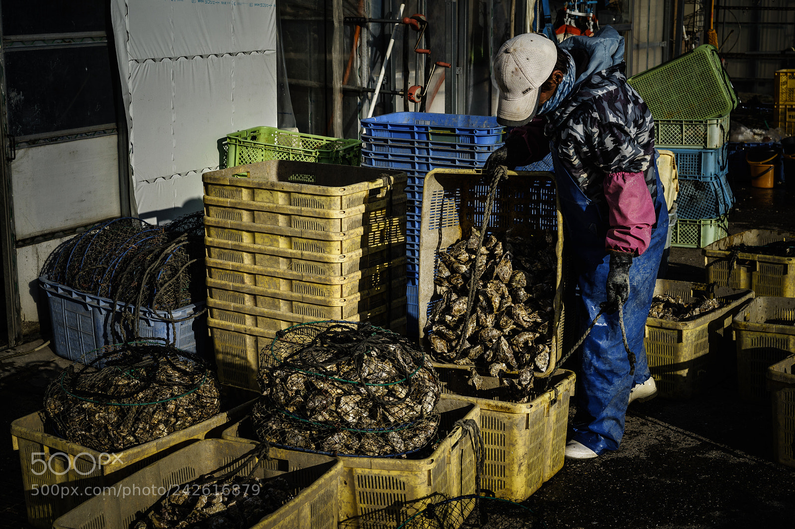Sony a7 II sample photo. Oyster man photography