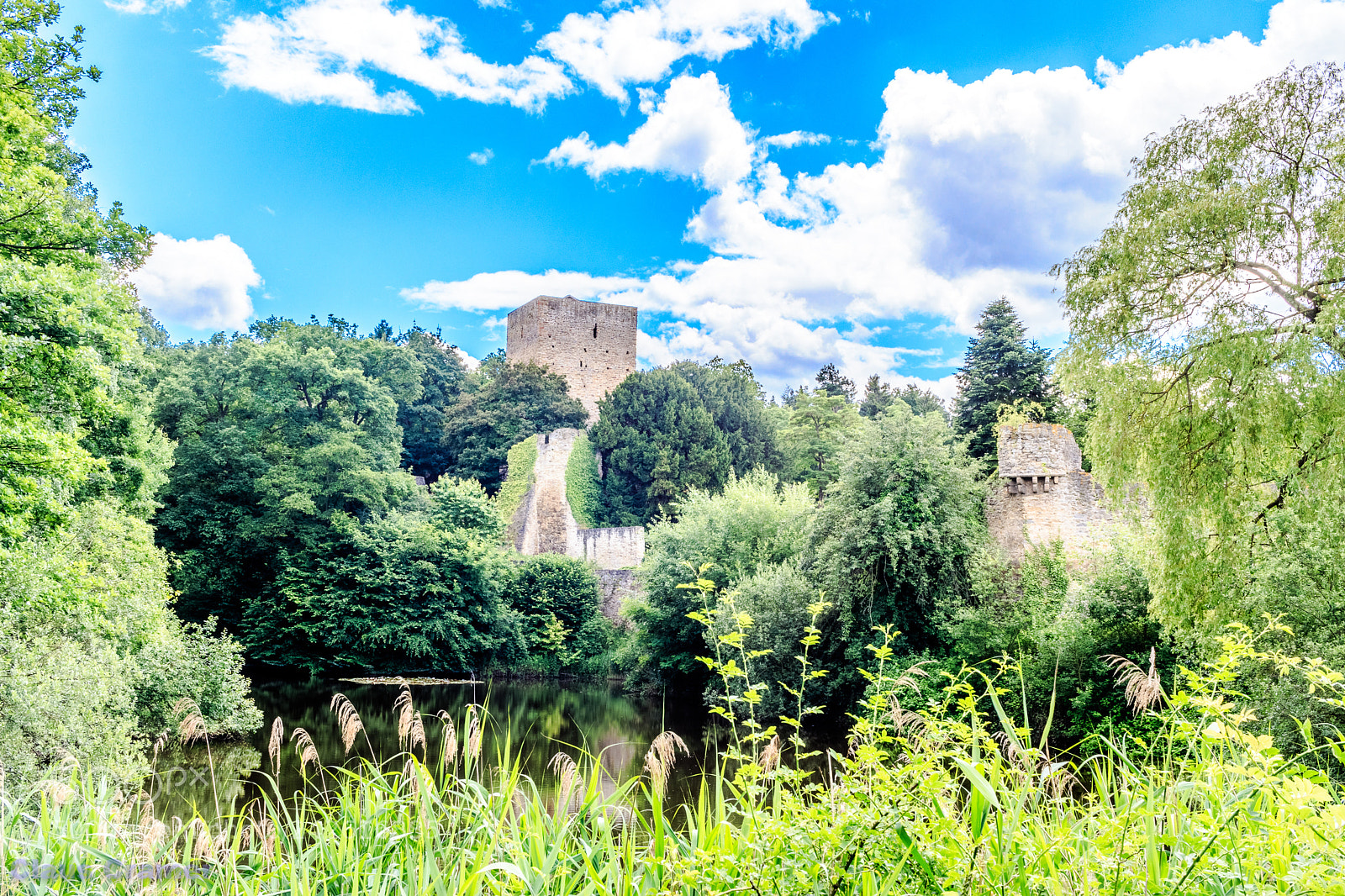 Canon EOS 7D Mark II sample photo. Ruin of the hardtburg photography