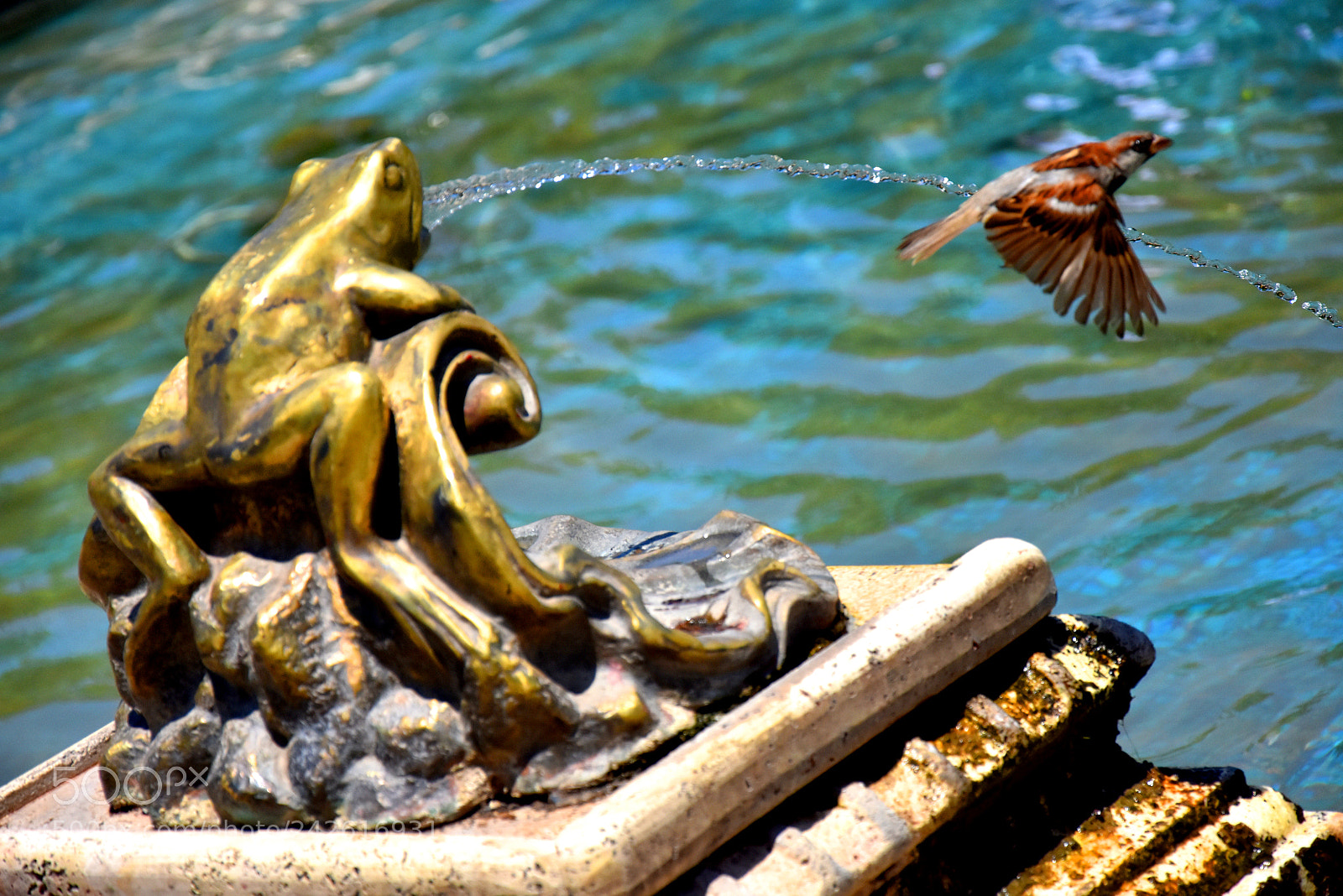 Nikon D7200 sample photo. Absolutamente todo... se merece photography