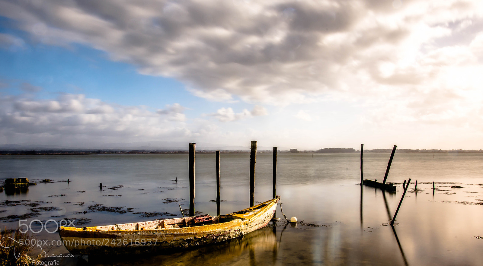 Nikon D7200 sample photo. Alone photography