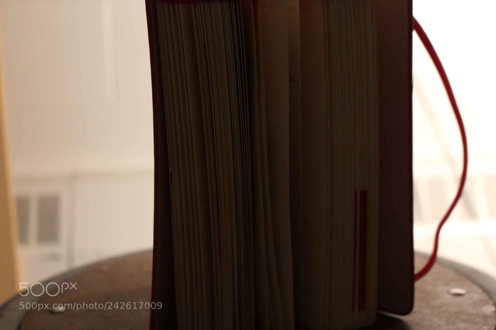 Canon EOS 700D (EOS Rebel T5i / EOS Kiss X7i) sample photo. Read me photography