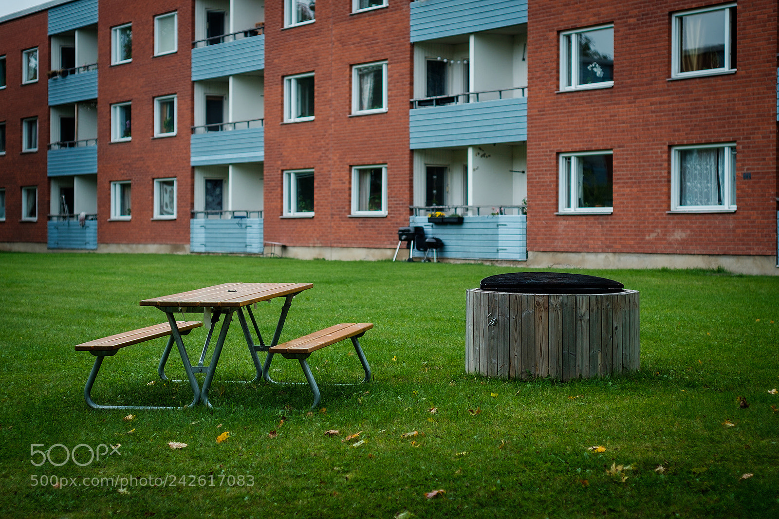 Fujifilm X-T10 sample photo. Picnic photography