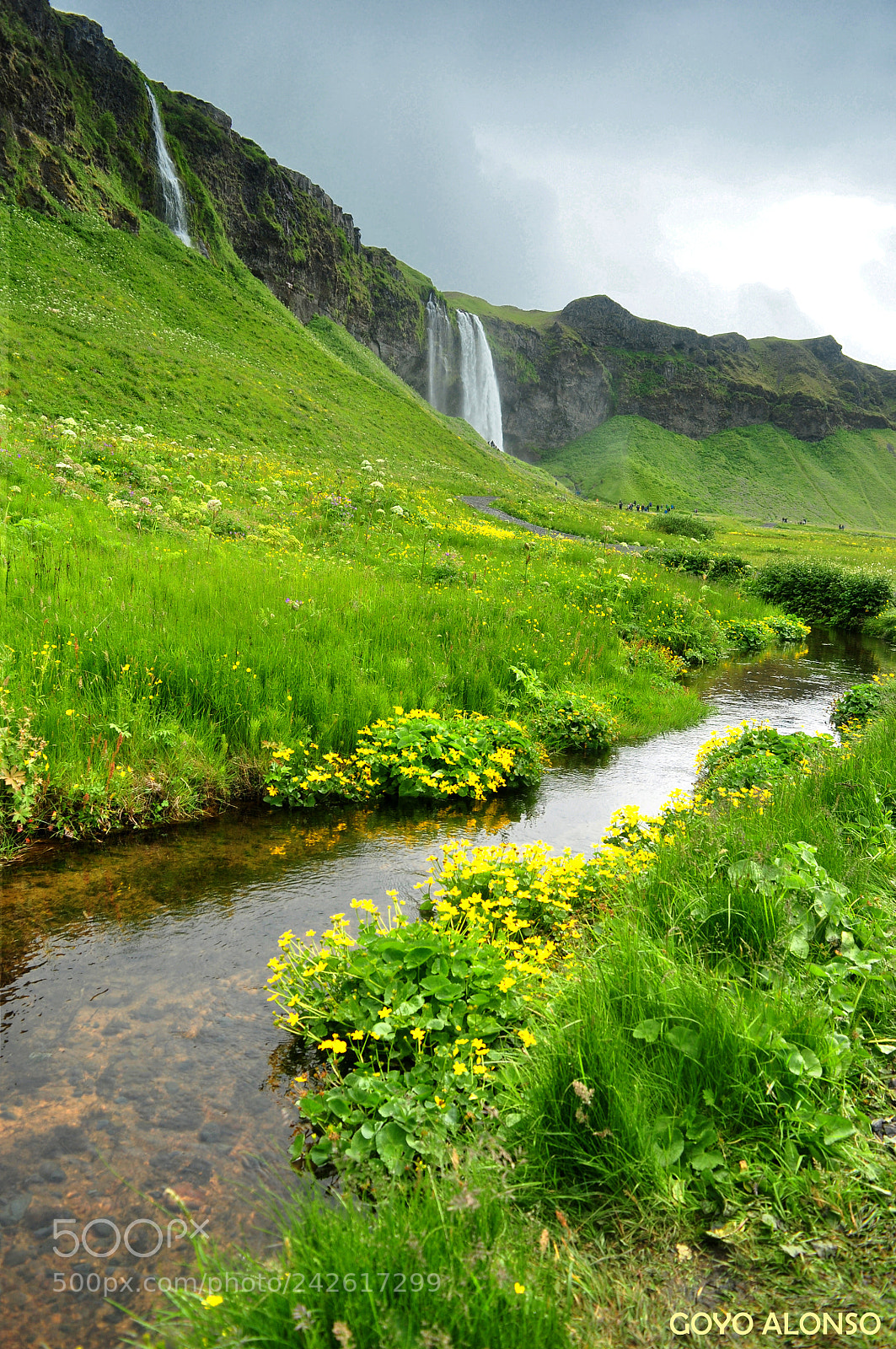 Nikon D5000 sample photo. Cascada photography