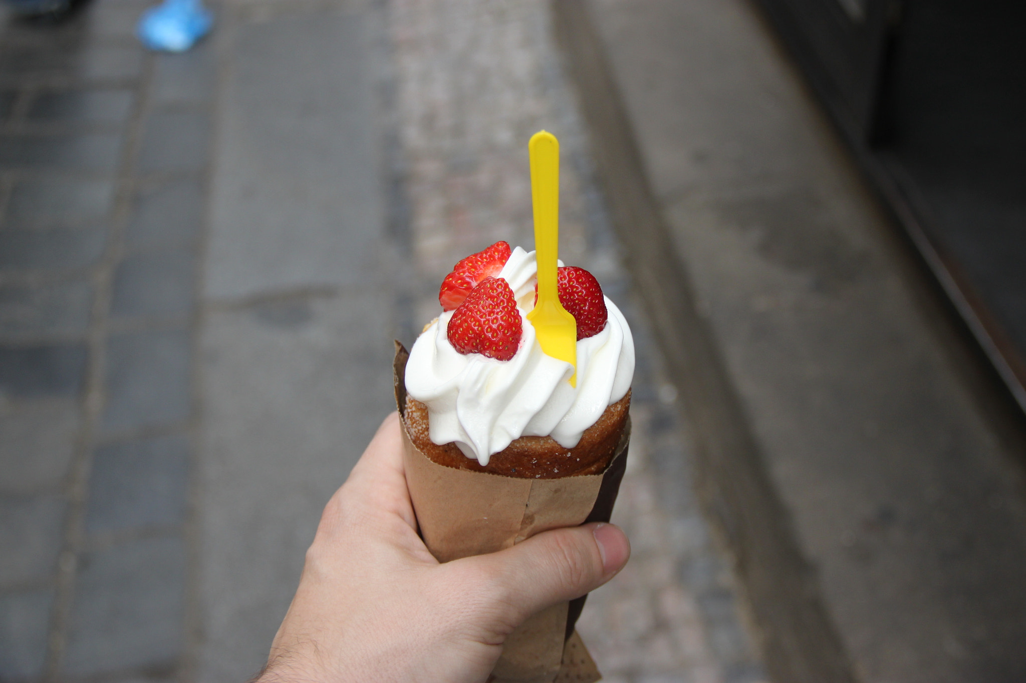 Canon EF-S 18-135mm F3.5-5.6 IS sample photo. Trdlo with strawberries and ice cream photography