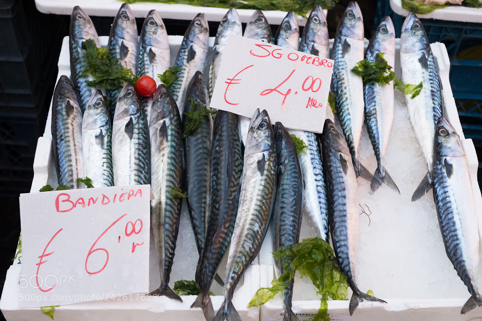 Nikon Df sample photo. Fish exposed in market photography