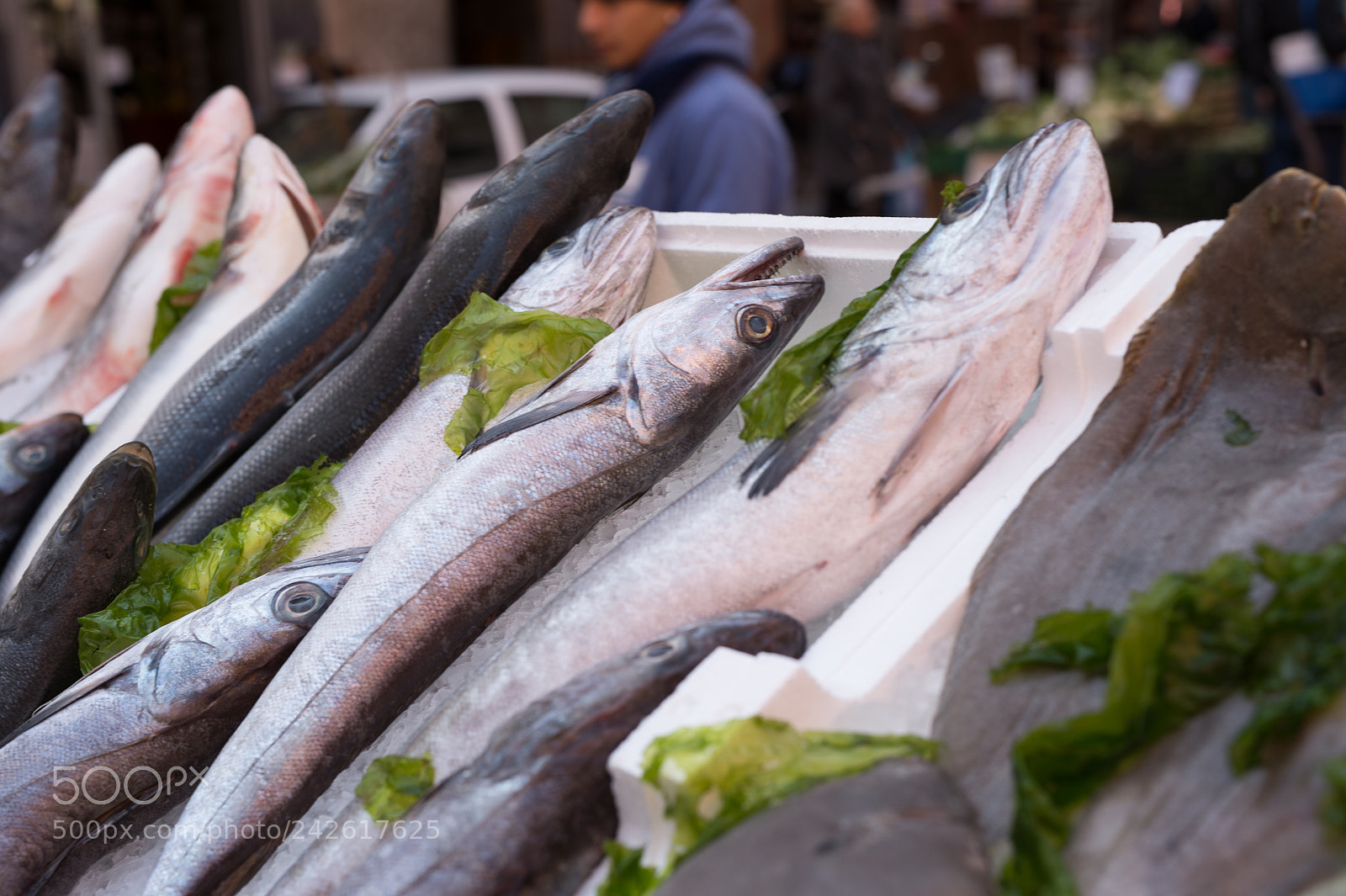 Nikon Df sample photo. Fish exposed in market photography