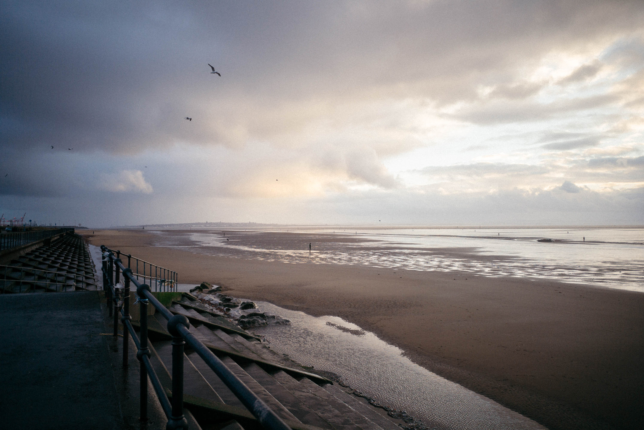 Leica M-D (TYP 262) sample photo. After the rain photography