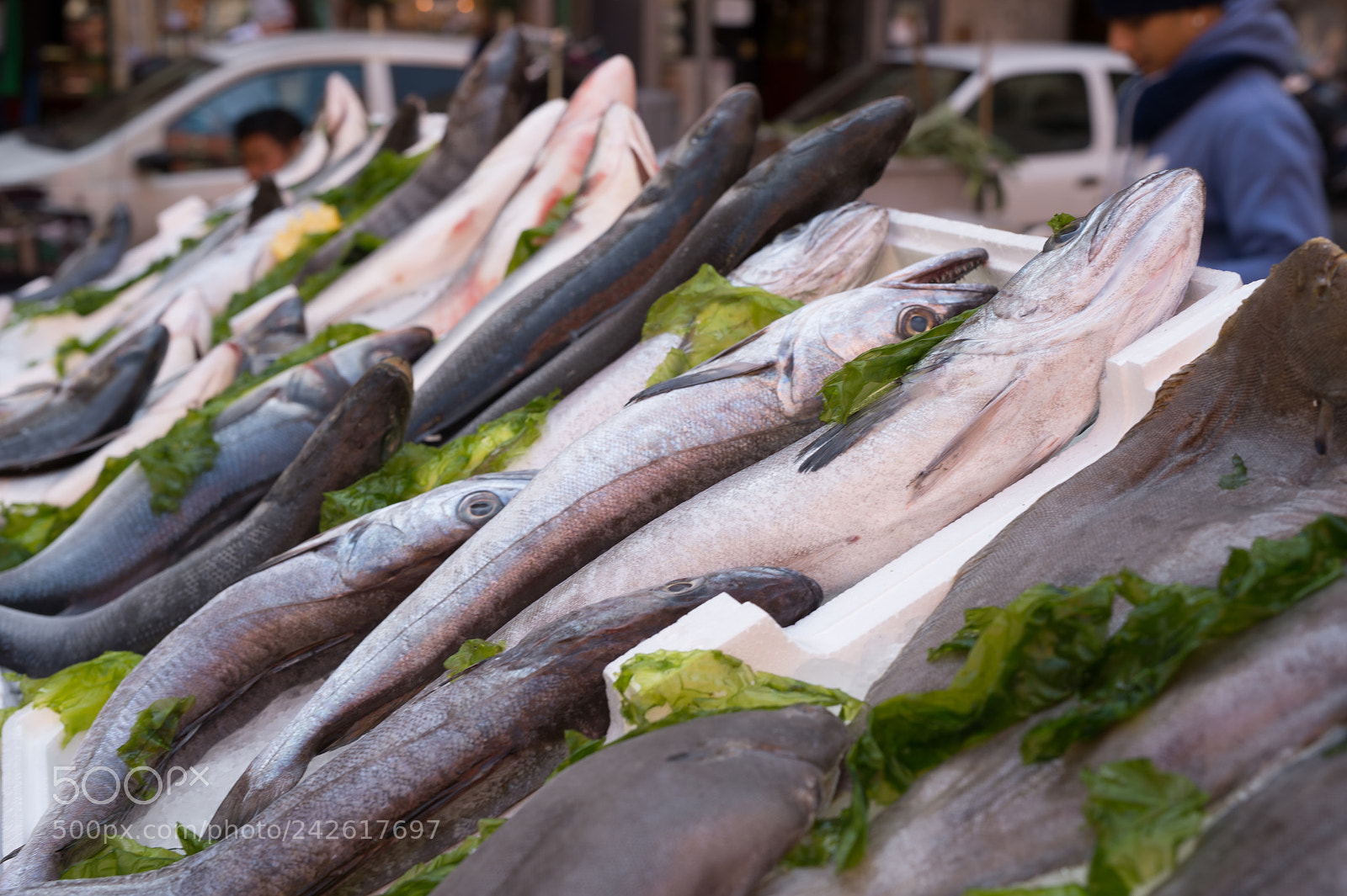 Nikon Df sample photo. Fish exposed in market photography