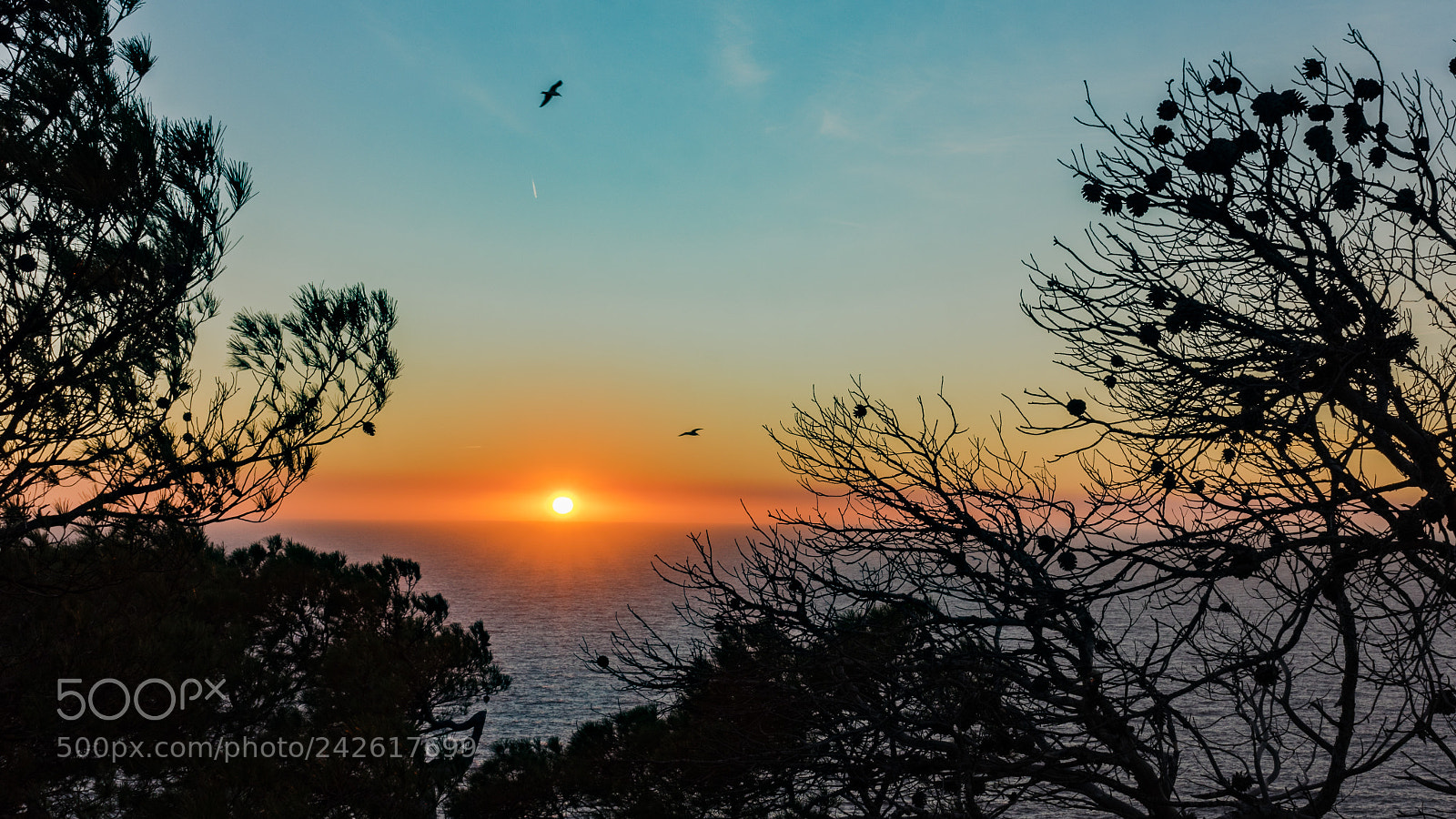Sony a7R sample photo. Silence photography