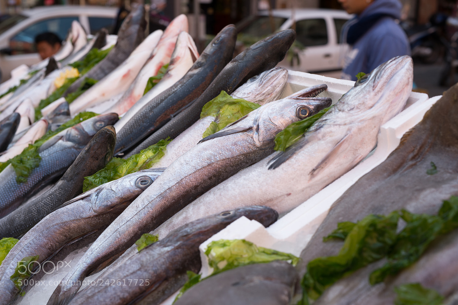 Nikon Df sample photo. Fish exposed in market photography