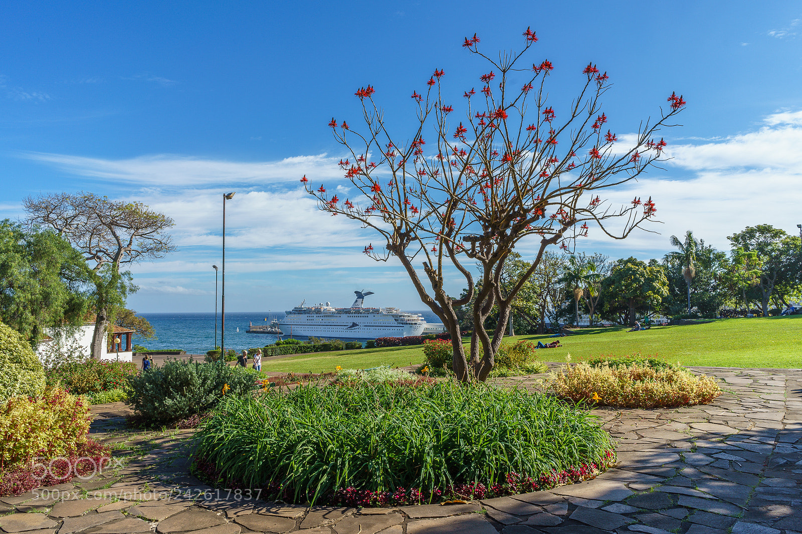 Sony a7 II sample photo. View on funchal haven photography