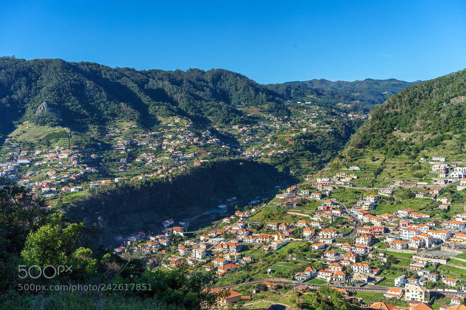 Sony a7 II sample photo. View on machico photography