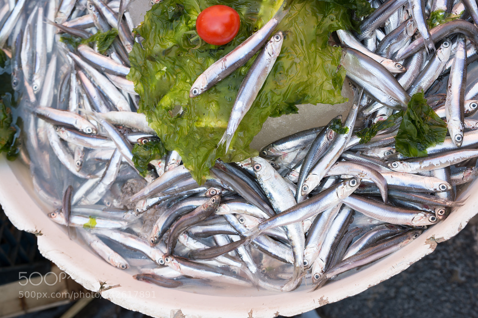 Nikon Df sample photo. Anchovies exposed in market photography
