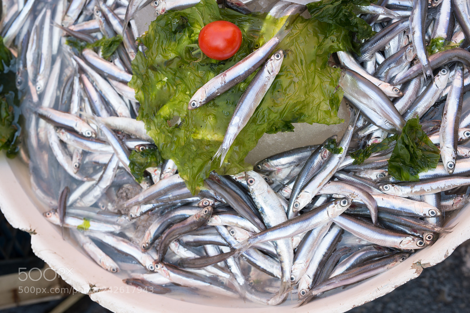 Nikon Df sample photo. Anchovies exposed in market photography