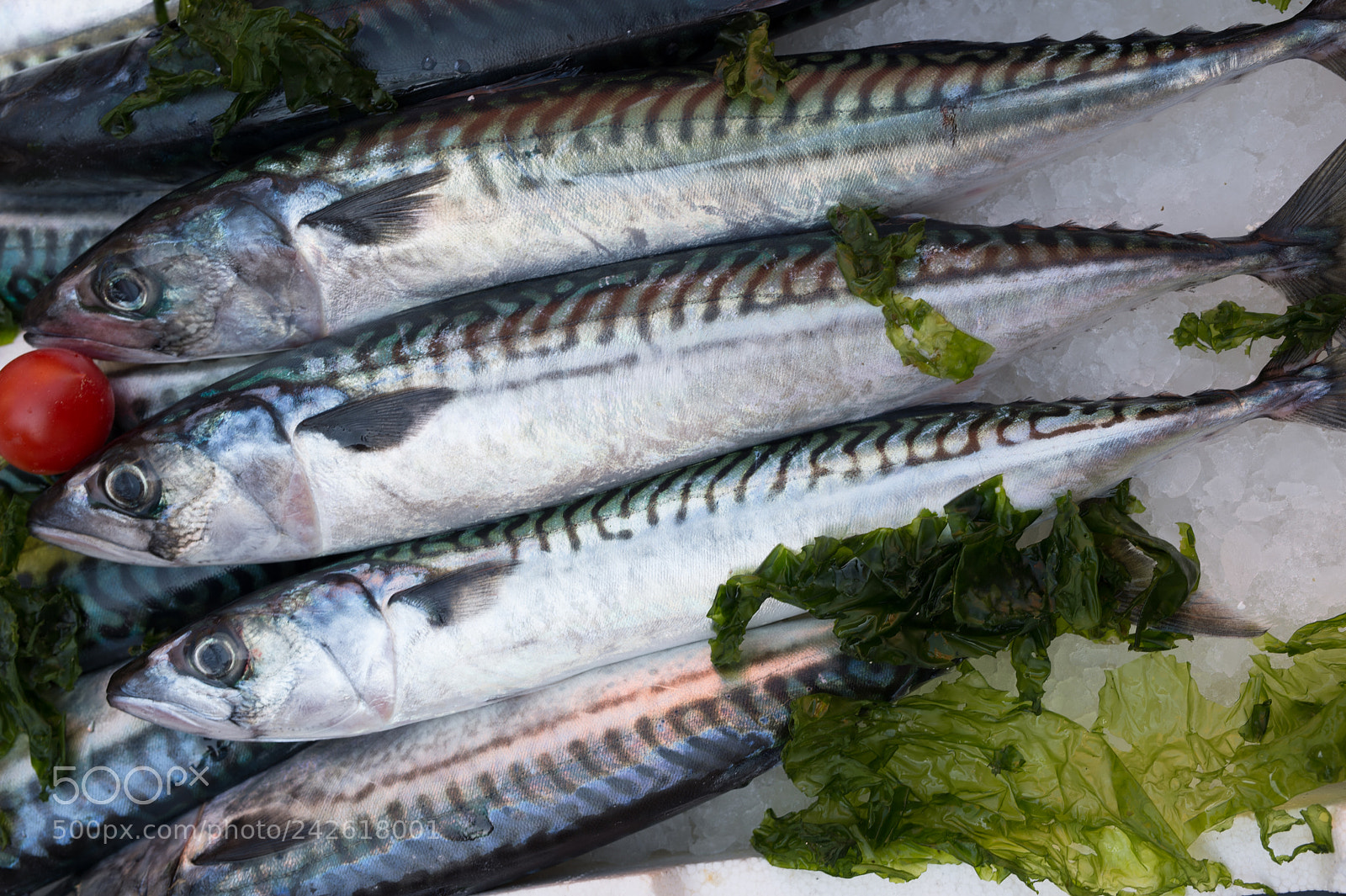 Nikon Df sample photo. Mackerels exposed in market photography