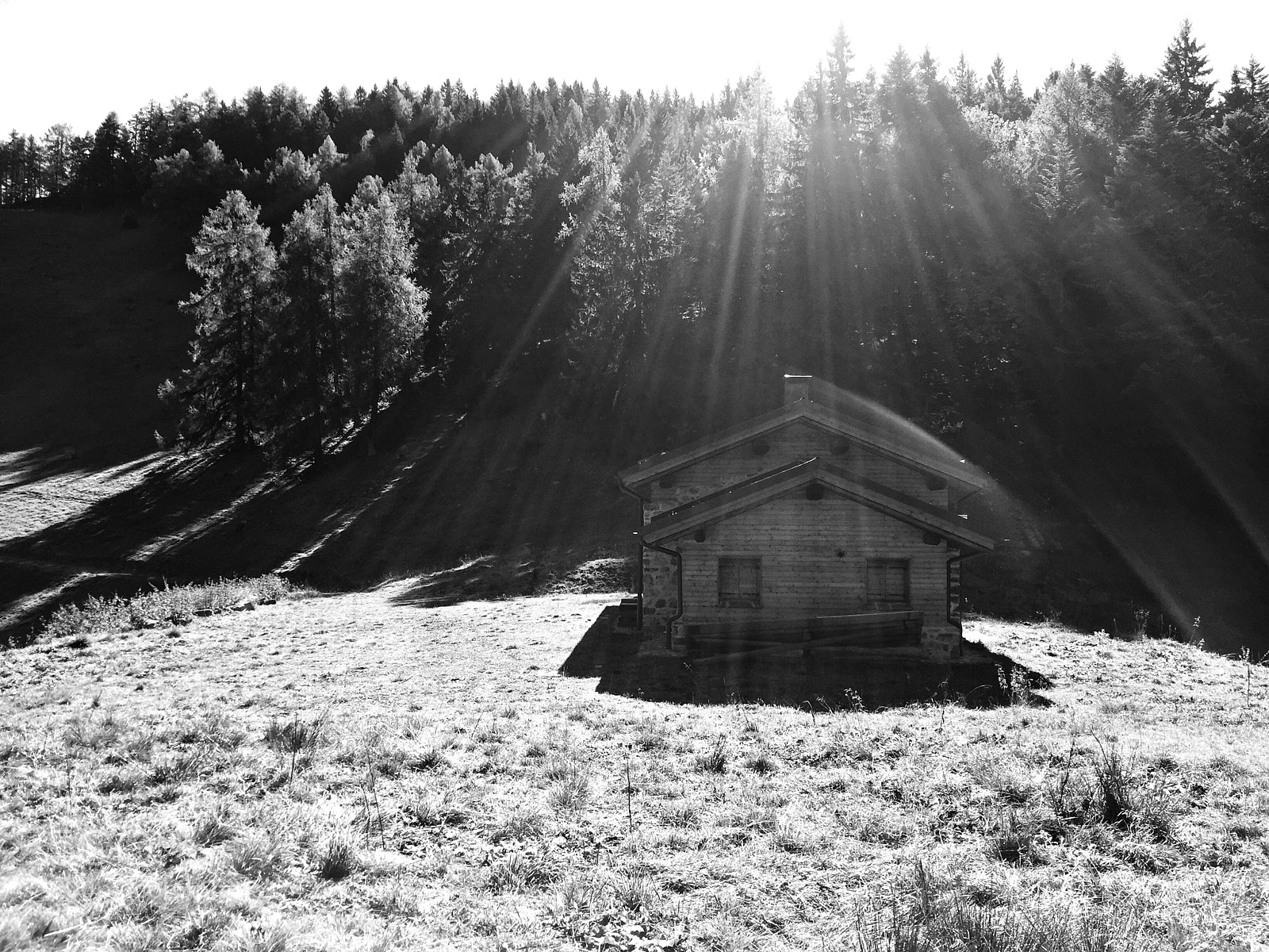 Apple iPhone 6 sample photo. Ray of sun photography