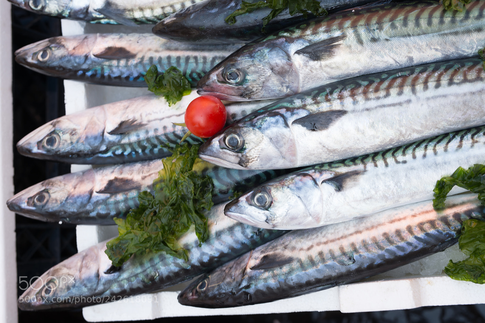 Nikon Df sample photo. Mackerels exposed in market photography