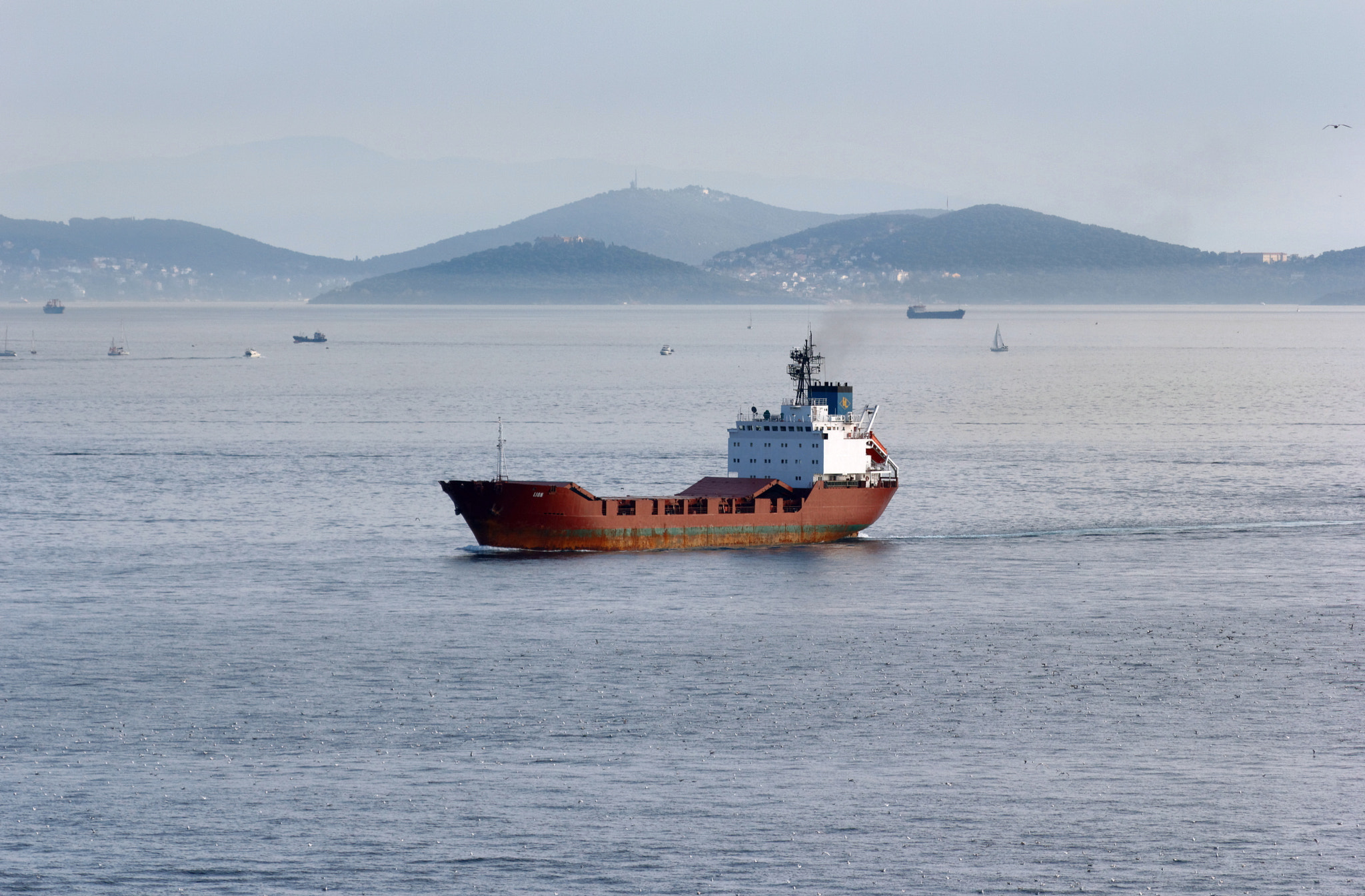 Sigma 50-200mm F4-5.6 DC OS HSM sample photo. Istanbul. general cargo ship "lion" photography
