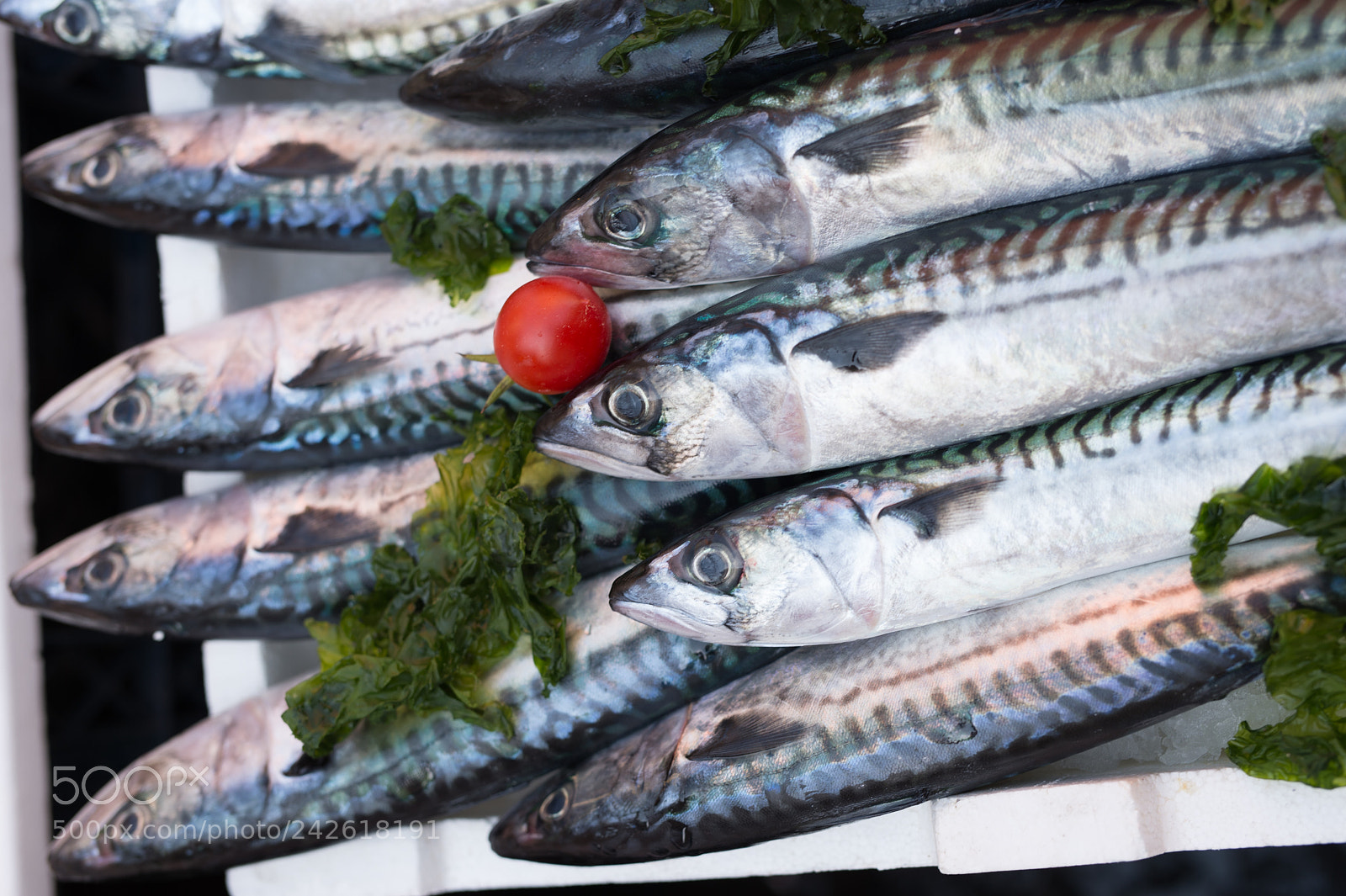 Nikon Df sample photo. Mackerels exposed in market photography