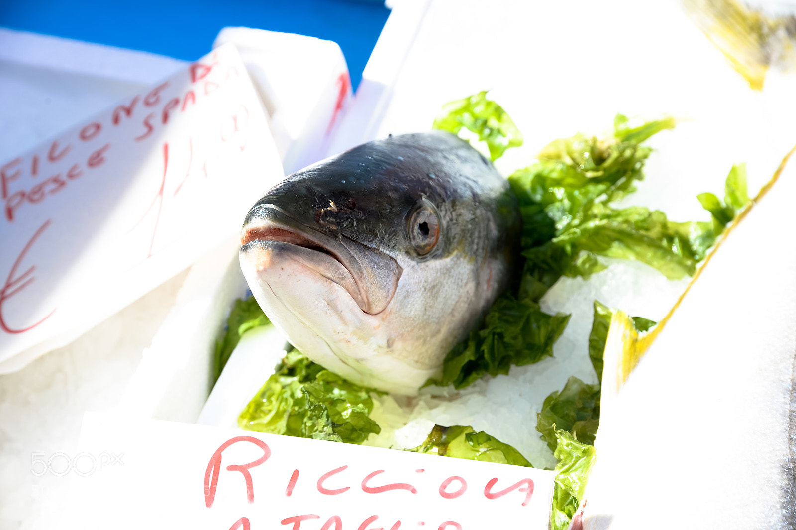 Nikon Df sample photo. Ricciola in market photography