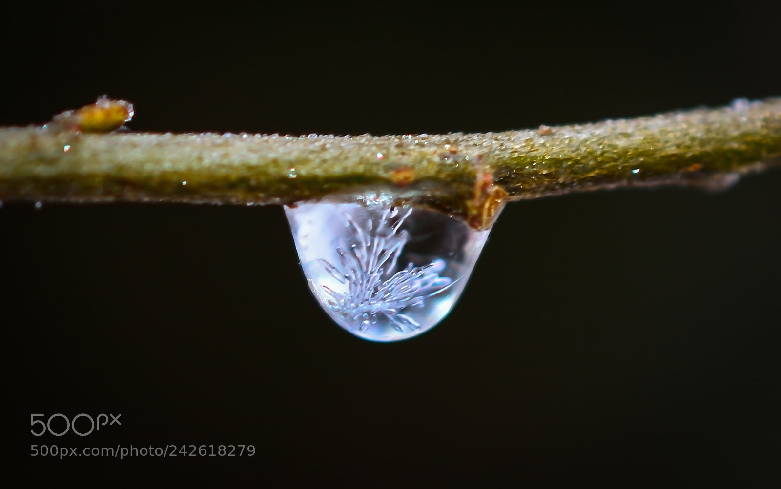 Nikon D3200 sample photo. * frozen drop * photography