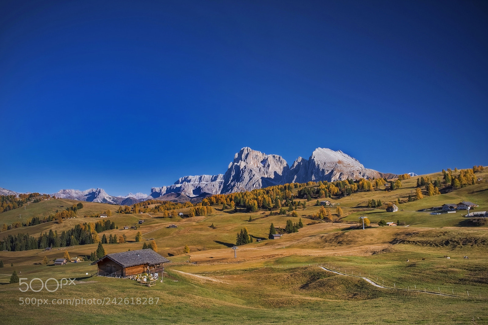 Nikon D810 sample photo. Hause photography