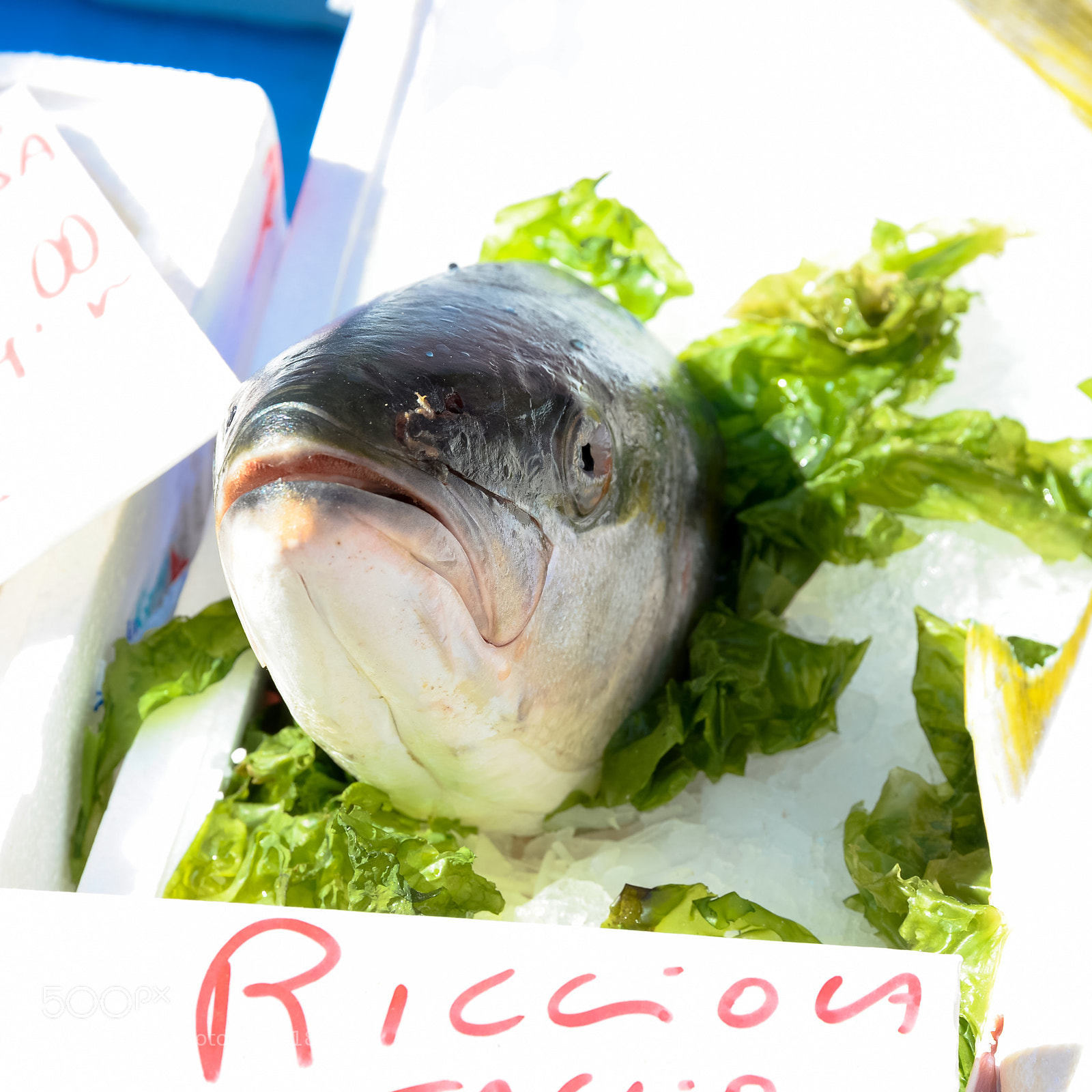Nikon Df sample photo. Ricciola in market photography