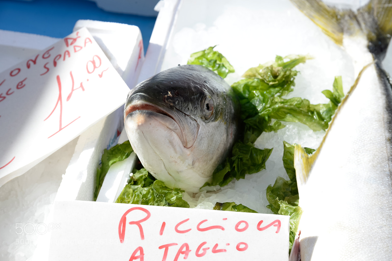 Nikon Df sample photo. Ricciola in market photography