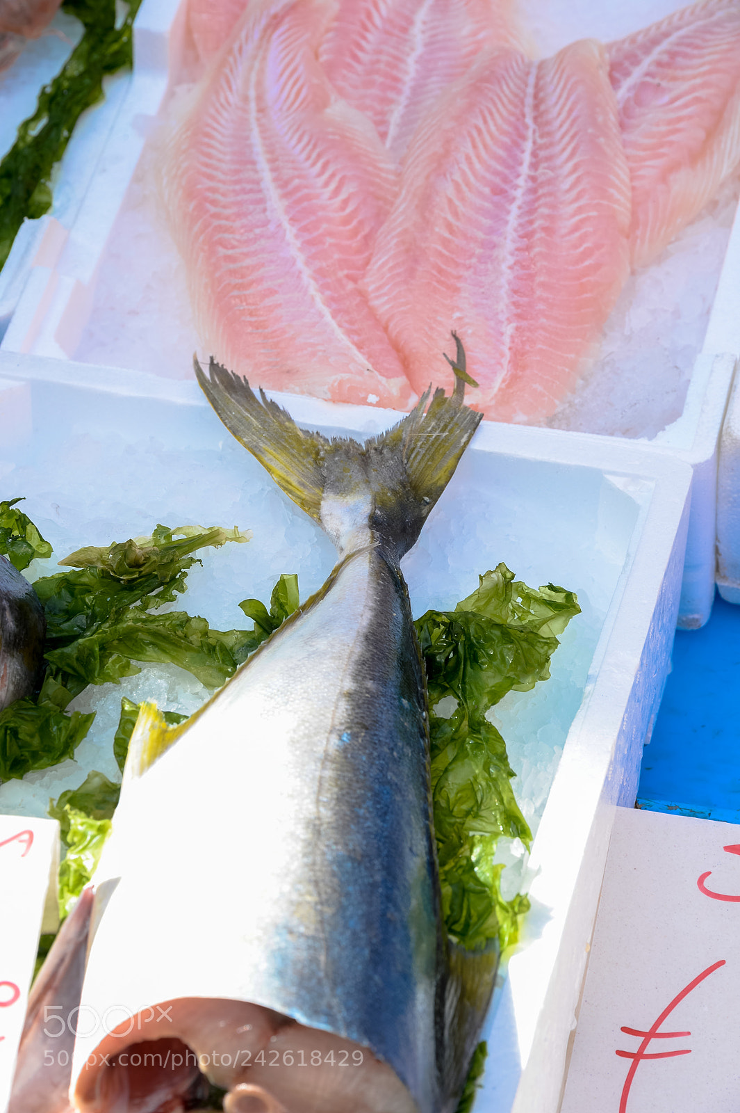 Nikon Df sample photo. Fish exposed in market photography