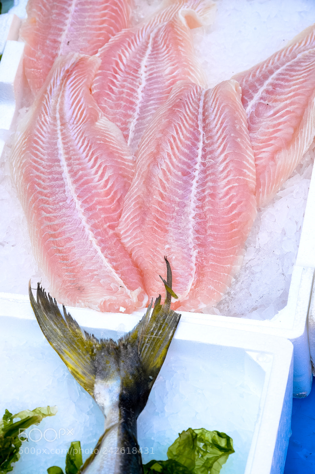 Nikon Df sample photo. Fish at market photography