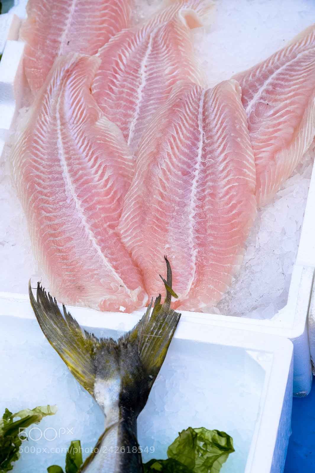 Nikon Df sample photo. Fish exposed in seafood photography