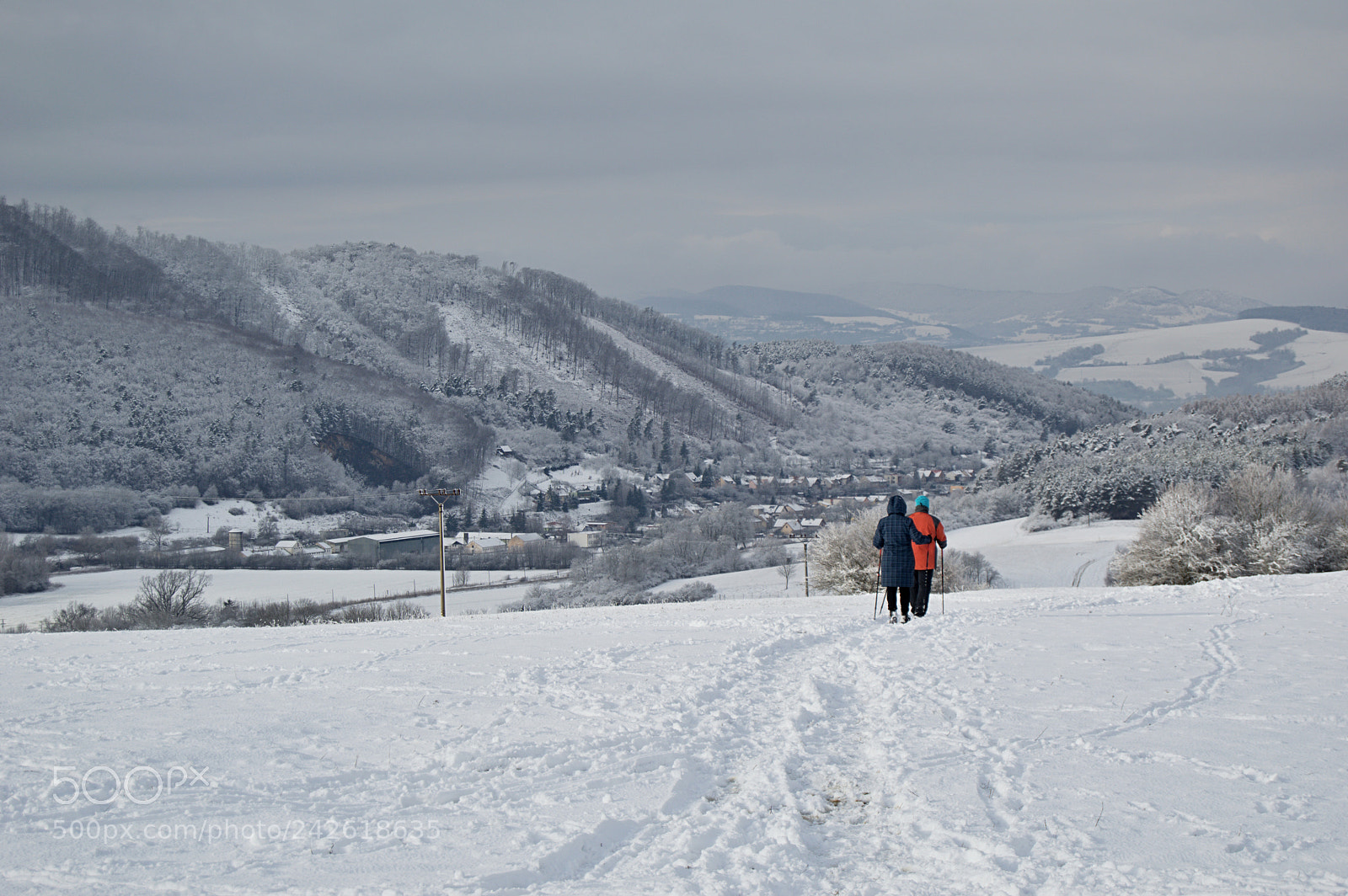 Nikon D3200 sample photo. Walking photography
