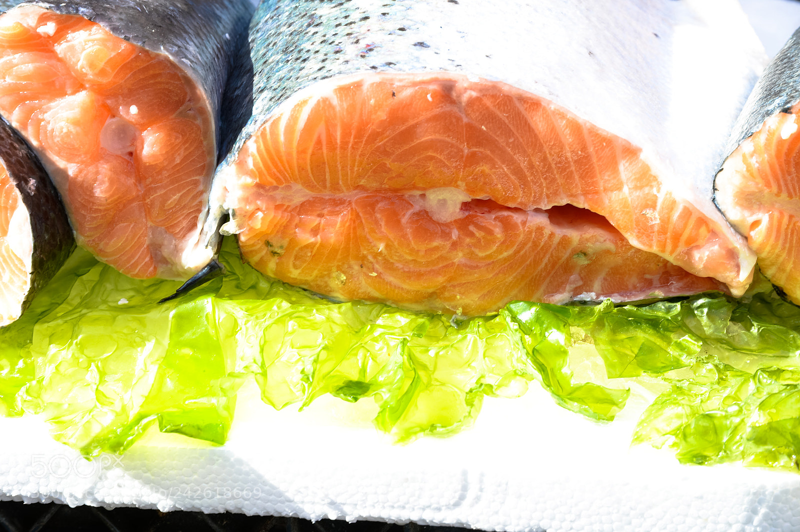 Nikon Df sample photo. Salmon in market photography